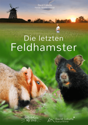 Filmposter "Die letzten Feldhamster" David Cebulla Naturfilme