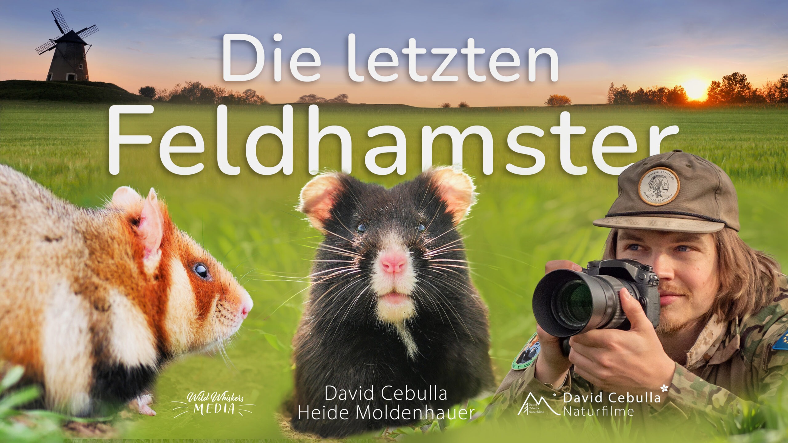 Filmposter "Die letzten Feldhamster" David Cebulla Naturfilme